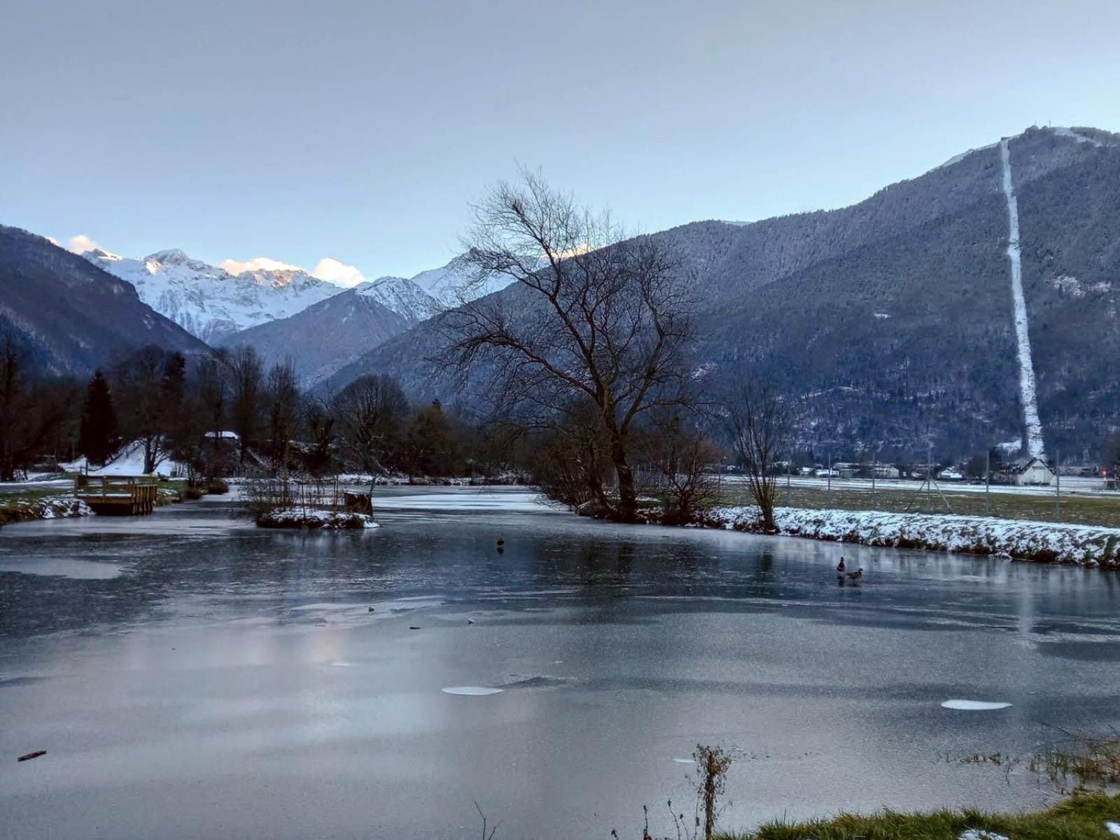 Le 102, T3 Pour 5 Personnes, Vue Montagne, Classe 2 Etoiles Nf, Parking, Piscine En Ete Bagnères-de-Luchon Eksteriør billede