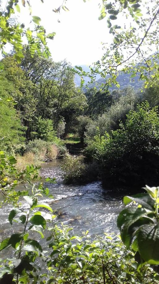Le 102, T3 Pour 5 Personnes, Vue Montagne, Classe 2 Etoiles Nf, Parking, Piscine En Ete Bagnères-de-Luchon Eksteriør billede